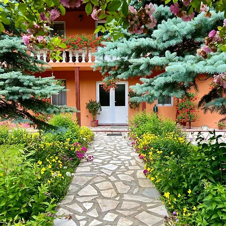 Gæstehus Casa Dobra Arieşeni